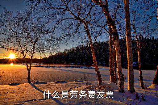 勞務(wù)費發(fā)票是什么發(fā)票，什么是勞務(wù)費發(fā)票