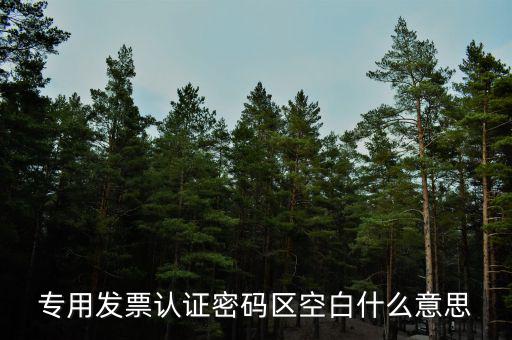 河南發(fā)票密碼是什么意思，專用發(fā)票認(rèn)證密碼區(qū)空白什么意思