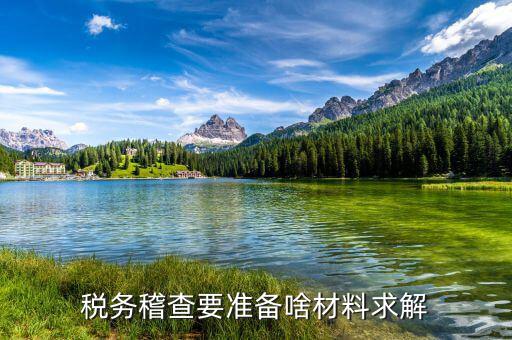 稅收調(diào)查需要什么資料，稅務(wù)檢查調(diào)閱企業(yè)會計資料需要辦理什么手續(xù)