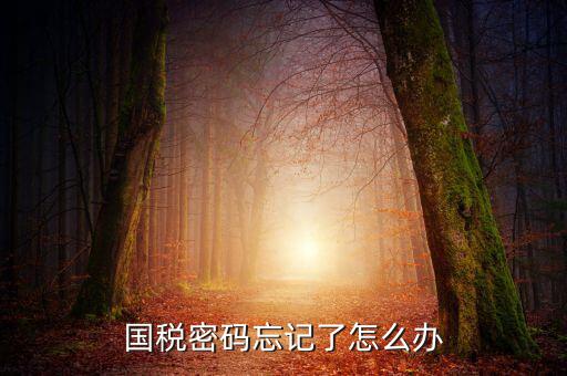 國稅局重置密碼需要帶什么資料，國稅修改過登錄密碼 又忘記了怎么辦