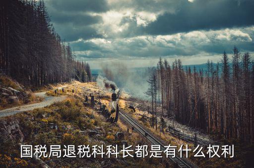 國稅稅政科有什么權(quán)限，稅務(wù)局里的稅政科和征管科都有哪些功能