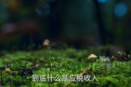 應(yīng)稅銷(xiāo)售收入是什么意思，應(yīng)稅銷(xiāo)售額是什么意思