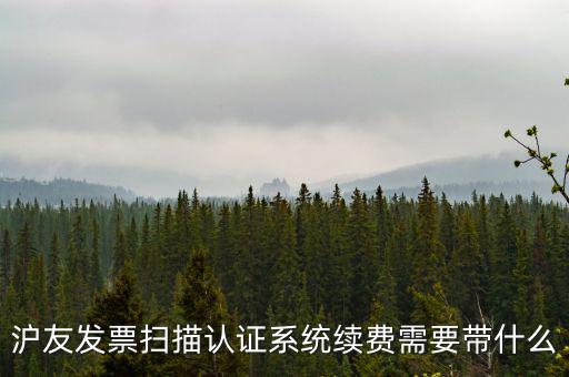 滬友發(fā)票掃描認(rèn)證系統(tǒng)續(xù)費需要帶什么