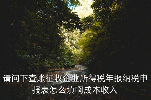 企業(yè)所得稅申報查賬是什么表，剛注冊了一個小規(guī)模的公司企業(yè)所得稅是查帳征收企業(yè)所得稅報表