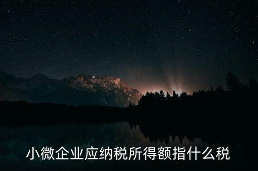 小微企業(yè)繳納什么稅，小型微利企業(yè)有什么稅要交