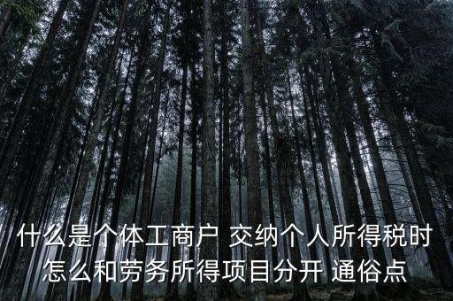 什么叫個體工商戶經營所得，個體工商戶的生產經營所得是指什么