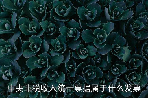 非稅發(fā)票是什么，中央非稅收入統(tǒng)一票據(jù)屬于什么發(fā)票