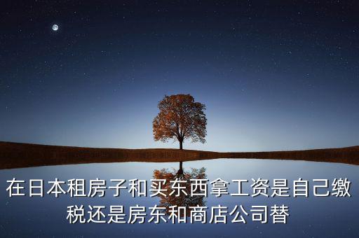 日本租稅法是什么稅，在日本租房子和買東西拿工資是自己繳稅還是房東和商店公司替