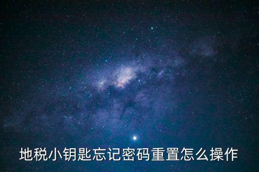 地稅密碼重置需要什么，地稅網(wǎng)上納稅申報密碼忘記了