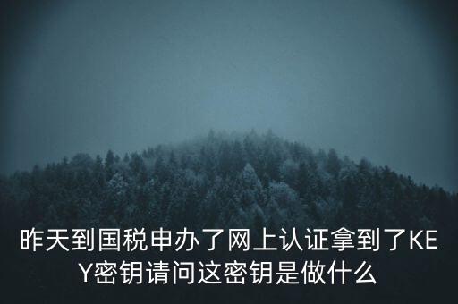稅務(wù)認證密碼是什么，昨天到國稅申辦了網(wǎng)上認證拿到了KEY密鑰請問這密鑰是做什么