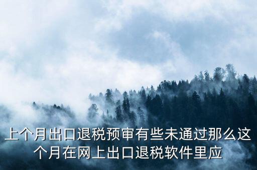 上個(gè)月出口退稅預(yù)審有些未通過那么這個(gè)月在網(wǎng)上出口退稅軟件里應(yīng)
