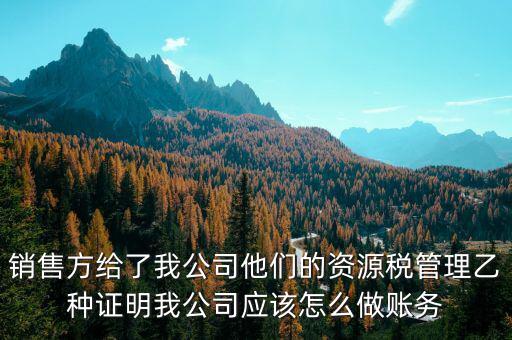 什么叫資源稅甲乙種證明，銷售方給了我公司他們的資源稅管理乙種證明我公司應(yīng)該怎么做賬務(wù)