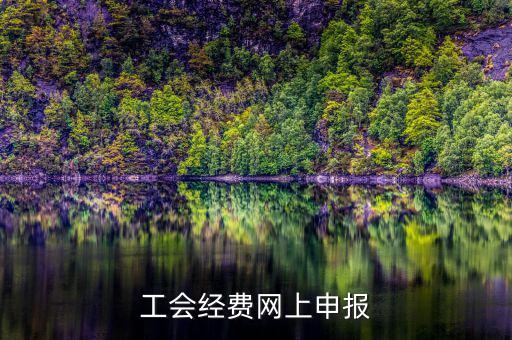 工會(huì)經(jīng)費(fèi)在什么地方申報(bào)，有關(guān)工會(huì)經(jīng)費(fèi)申報(bào)的問(wèn)題