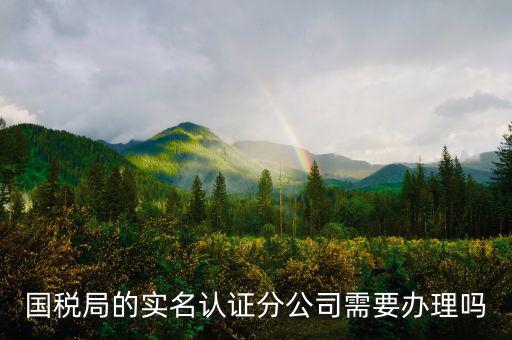 四川國(guó)稅局實(shí)名認(rèn)證需要什么手續(xù)，在國(guó)稅局辦理法人實(shí)名制認(rèn)證要帶什么材料