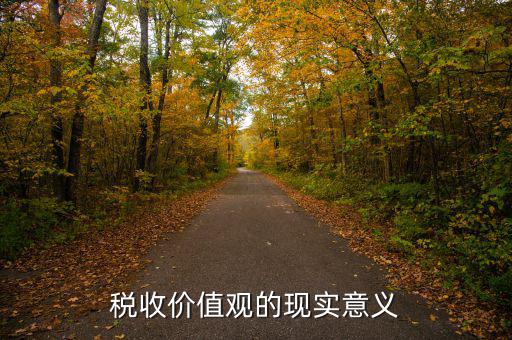 稅務(wù)精神凝聚著什么用，稅收價(jià)值觀的現(xiàn)實(shí)意義