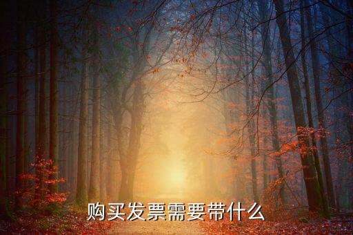 長(zhǎng)春購(gòu)置發(fā)票需要什么資料，初次購(gòu)買發(fā)票要什么資料