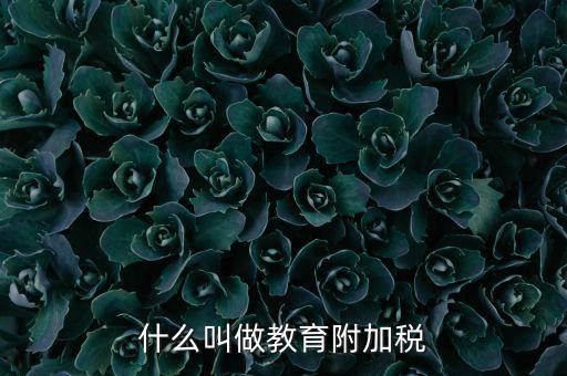 教育附加什么意思，教育費附加代表什么意思