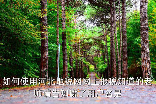 河北省地稅登陸的用戶名是什么意思，在網(wǎng)上報(bào)稅登陸時(shí)用戶名是什么