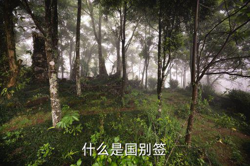 什么是國別報(bào)送條件，國別是什么意思