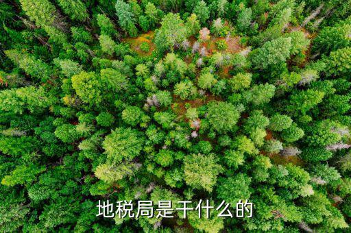 地稅主要負(fù)責(zé)什么工作總結(jié)，地稅局一般做什么工作啊
