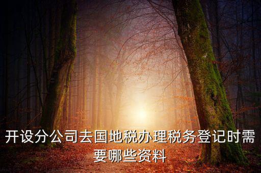分公司地稅辦理需要什么材料，辦理分公司的稅務(wù)登記證需要準(zhǔn)備哪些資料