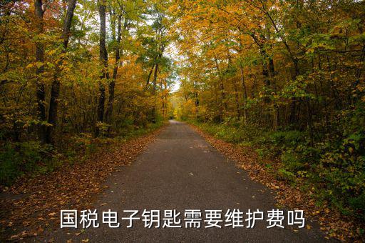 辦稅鑰匙是什么意思，網(wǎng)上報稅請插入電子令牌是什么意思
