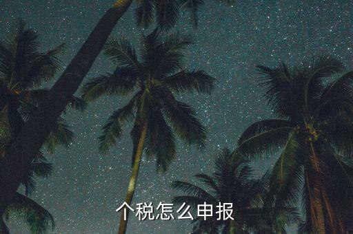 個稅怎么申報(bào)