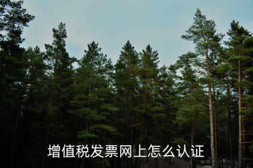 增值稅發(fā)票網上怎么認證