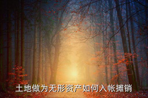 土地如何攤銷(xiāo)，土地做為無(wú)形資產(chǎn)如何入帳攤銷(xiāo)
