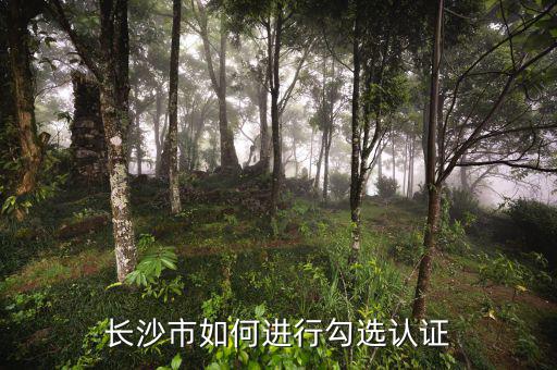 如何進(jìn)行網(wǎng)上勾選，對(duì)方開出增值稅專用發(fā)票多長(zhǎng)時(shí)間可以進(jìn)行網(wǎng)上勾選認(rèn)證