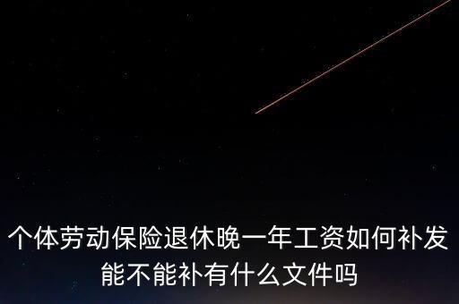 個體勞動保險(xiǎn)退休晚一年工資如何補(bǔ)發(fā)能不能補(bǔ)有什么文件嗎
