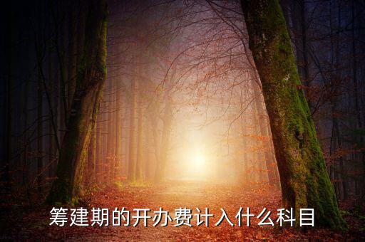 公司籌建期的費用計入什么科目，籌建期的開辦費計入什么科目