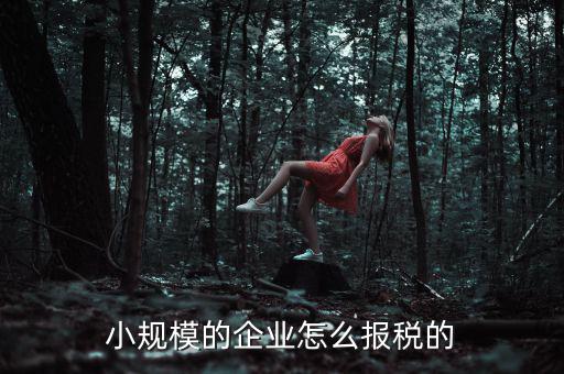小規(guī)模納稅人如何申報(bào)，小規(guī)模增值稅申報(bào)流程