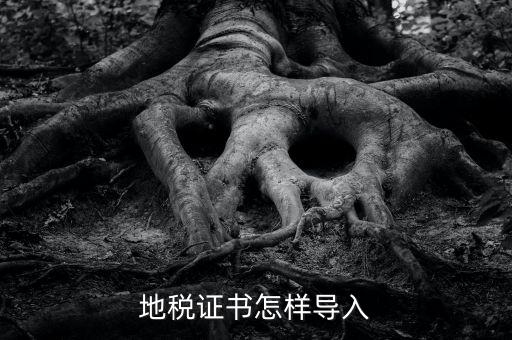 如何導入地稅證書，地稅證書怎樣導入