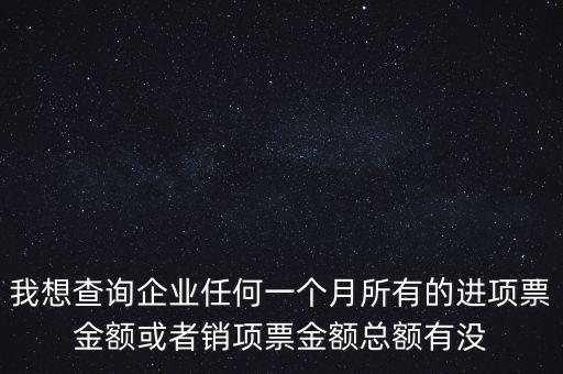 我想查詢(xún)企業(yè)任何一個(gè)月所有的進(jìn)項(xiàng)票金額或者銷(xiāo)項(xiàng)票金額總額有沒(méi)