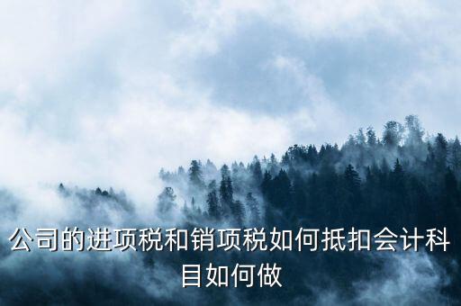 公司的進(jìn)項(xiàng)稅和銷(xiāo)項(xiàng)稅如何抵扣會(huì)計(jì)科目如何做