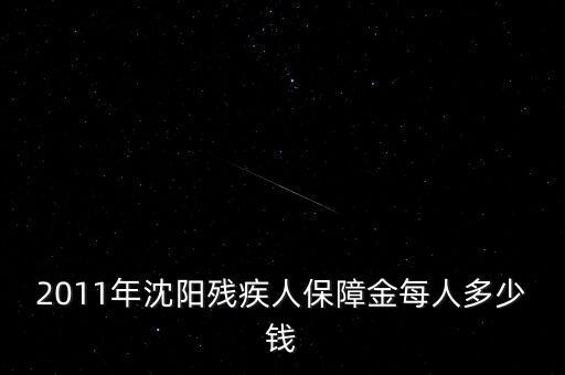沈陽市殘疾人保障金如何計算，2011年沈陽殘疾人保障金每人多少錢