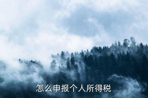如何申報(bào)個(gè)人所得稅，怎么申報(bào)個(gè)人所得稅