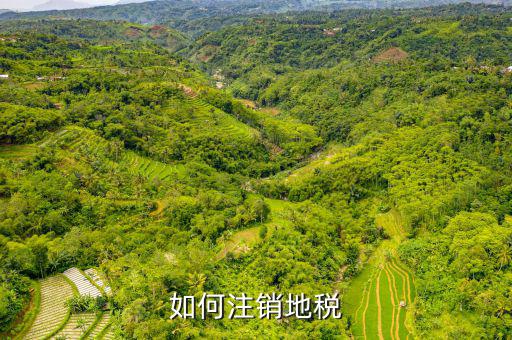如何注銷地稅，如何注銷地稅