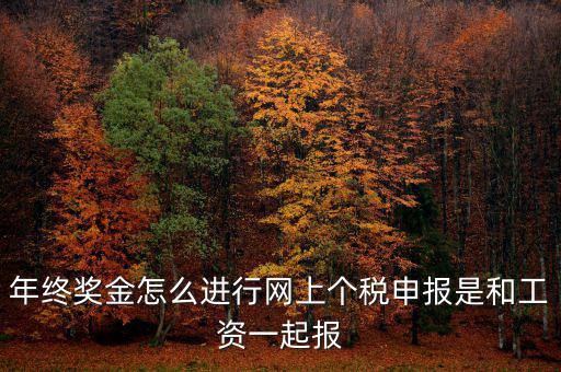 年終獎(jiǎng)個(gè)稅如何申報(bào)，年終獎(jiǎng)怎樣申報(bào)個(gè)稅