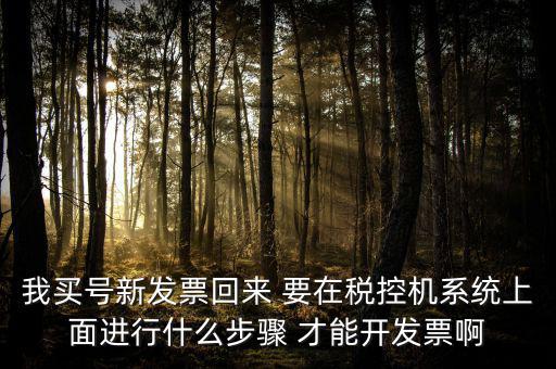稅控系統(tǒng)如何開(kāi)票，我買號(hào)新發(fā)票回來(lái) 要在稅控機(jī)系統(tǒng)上面進(jìn)行什么步驟 才能開(kāi)發(fā)票啊