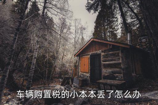 購(gòu)置稅本丟失如何補(bǔ)辦，車(chē)輛購(gòu)置稅完稅證明本丟了怎么補(bǔ)辦