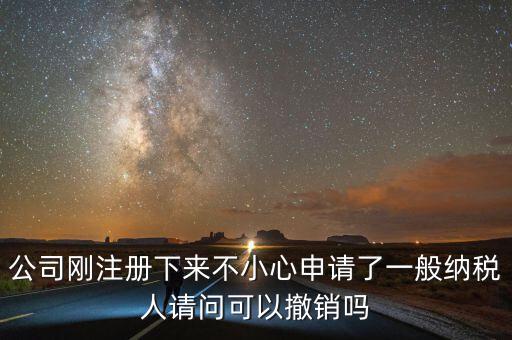 公司剛注冊(cè)下來不小心申請(qǐng)了一般納稅人請(qǐng)問可以撤銷嗎