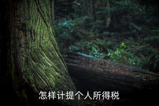 個(gè)人所得稅如何計(jì)提，如何計(jì)提個(gè)人所得稅