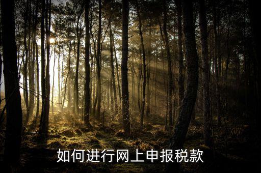 網(wǎng)上申報(bào)系統(tǒng)如何報(bào)稅，如何進(jìn)行網(wǎng)上申報(bào)稅款