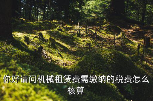 你好請問機(jī)械租賃費(fèi)需繳納的稅費(fèi)怎么核算