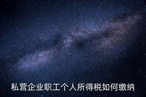 公司如何交個人所得稅，公司給員工發(fā)工資應該怎么繳納個稅啊比如