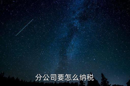 分支機構(gòu)如何納稅，分支機構(gòu)增值稅怎樣繳納