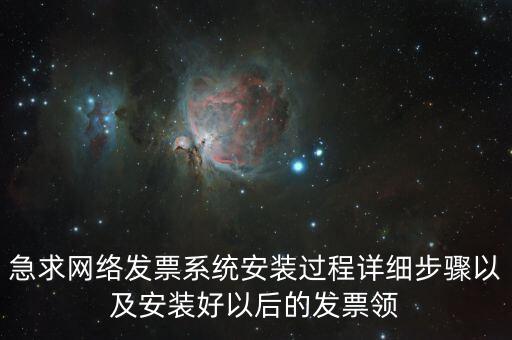 急求網(wǎng)絡發(fā)票系統(tǒng)安裝過程詳細步驟以及安裝好以后的發(fā)票領