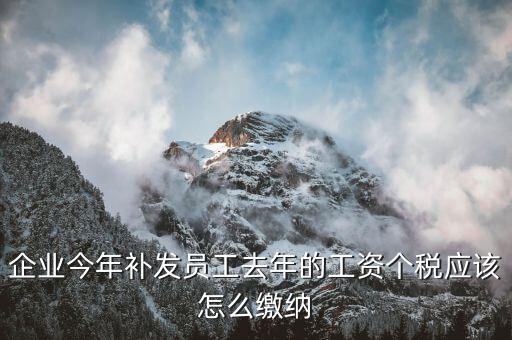 補(bǔ)發(fā)一年工資如何算稅，補(bǔ)發(fā)員工以前年度工資如何繳納個(gè)稅